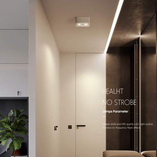 LED surface-mounted downlight without main light, COB spotlights for home use, single or double head lighting, ceiling light fixture, square