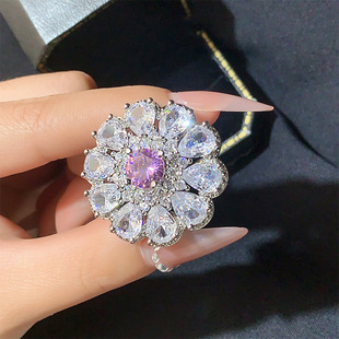 2025�羳�r������؛Դ�W���_�����ԙѻ��ʯ��ָ�V�|�����F؛���l