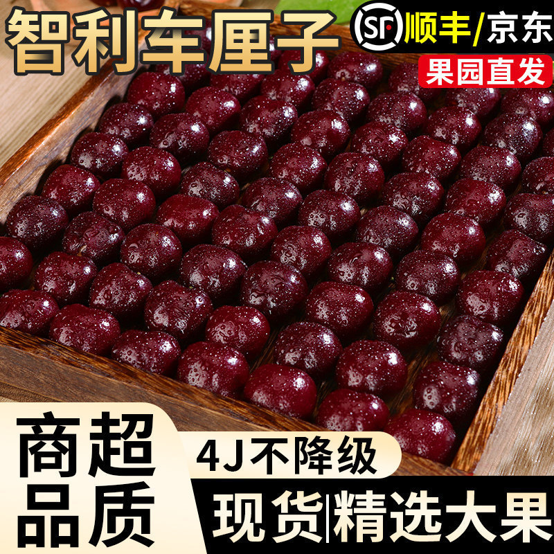 Dalian Meizao Large Cherry Fresh Fruit Free Shipping 2.5kg Gift Box Seasonal Whole Box 3J Domestic Product for Pregnant Women 5J Cherries 4 Dalian Meizao Large Cherry Fresh Fruit Free Shipping 2.5kg Gift Box Seasonal Whole Box 3J Domestic Product for Pregnant Women 5J Cherries 4