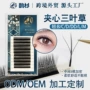 柔软嫁接夹心3d睫毛