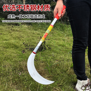 �¿�P�砵��r���L����ݵ��ո����������ո��砵��r���r��