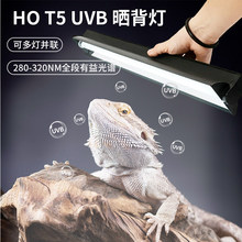 uvb���܌����̫ꖟ����������񱳟�ȫ���V������������t5����