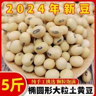 ������؛��Ʒ�N���S��5�� �K����Ě�����S���E�A�ζ��{���G��ʳ��