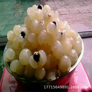 ���ۘ���o�����ۘ��mʯ�A�޽��烦���tƤʯ���ļ����ۮ���Y��