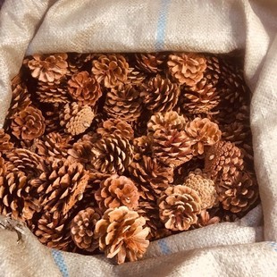 ��ș�� ����1kg  ����/�ɹ�/���ɹ�