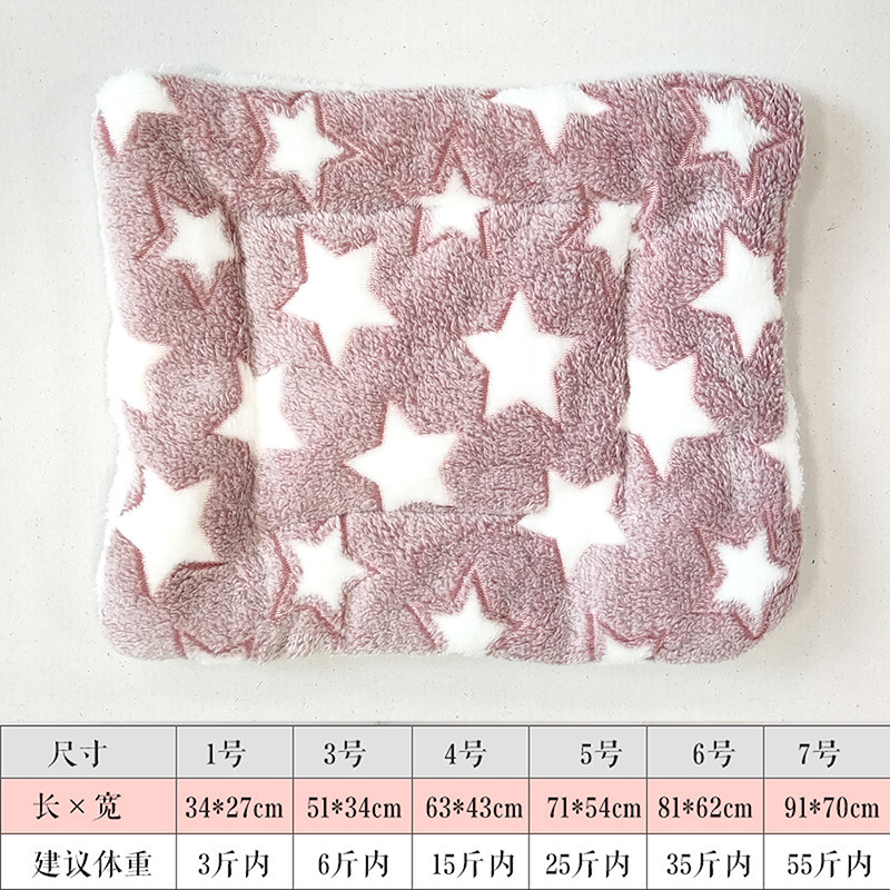 콩 모래 화이트 스타
