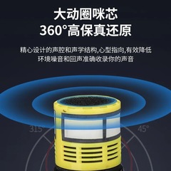 SKM9000 Wireless Dual Microphone UHF Stage Home Karaoke Entertainment Microphone from Enping Manufacturer