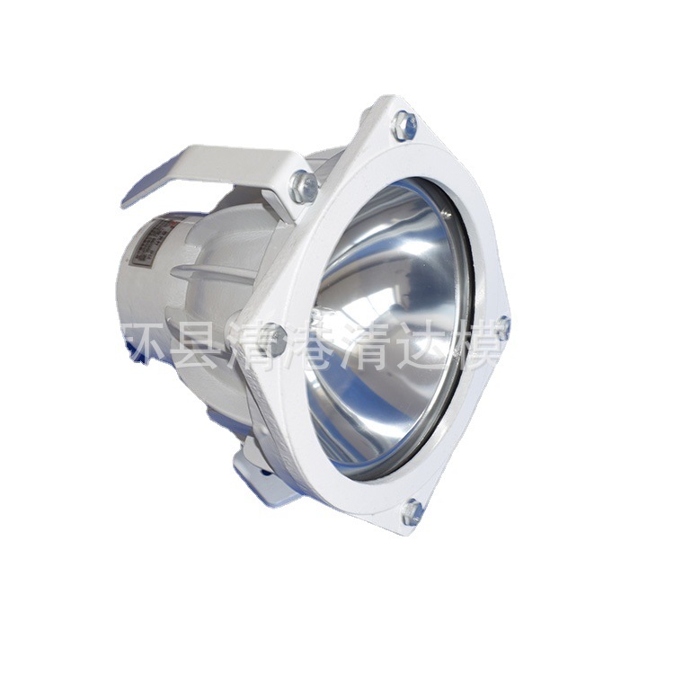 船用水密照明24V 100W 200W TG8投光灯 船用投光灯
