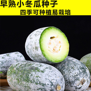 ����С���ϷN�Ӗ|�ϲ������ⴺ���＾�ˈ@�҃��̨�N�����߲˷N��