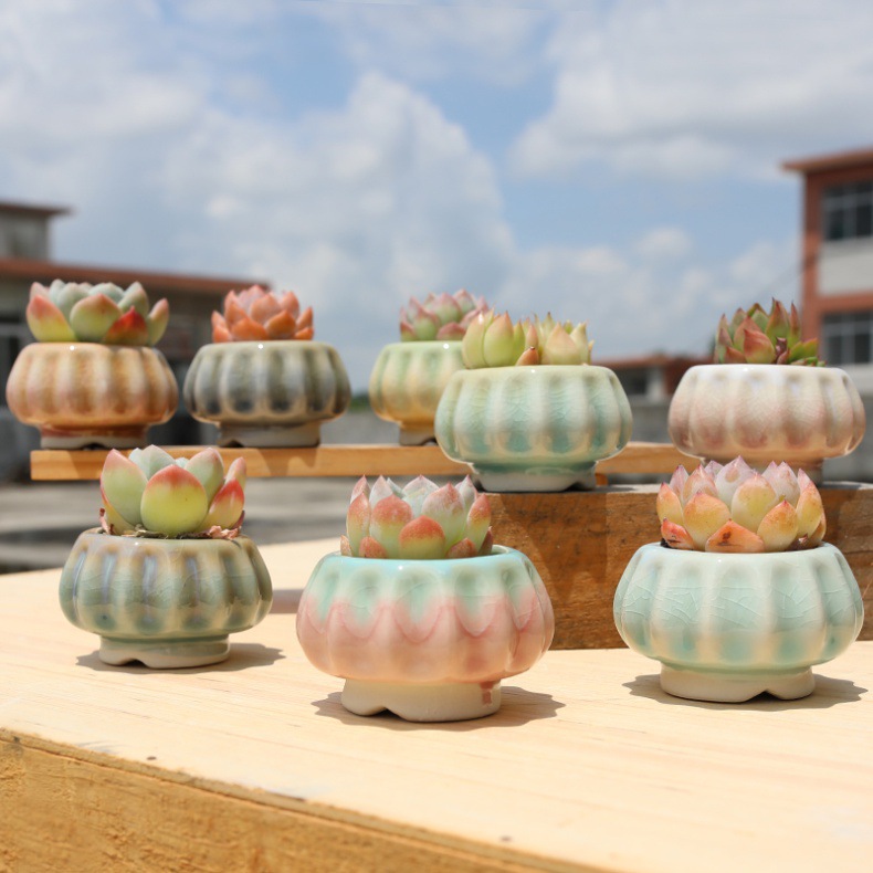 Pot à succulentes citrouille créatif avec glaçure arc en ciel_voghion.com