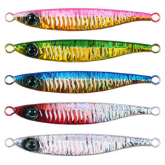 Sardine Iron Plate Lead Fish 40g 60g 80g Glow Stripe Casting Lead Fish Sea Fishing Boat Fishing Lure