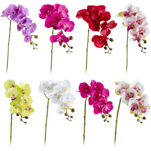 �ߙn�����֧�����m���ϼٻ��[���͏d�҃Ȳ廨���ϲ�����ˇ�b�Ʒ