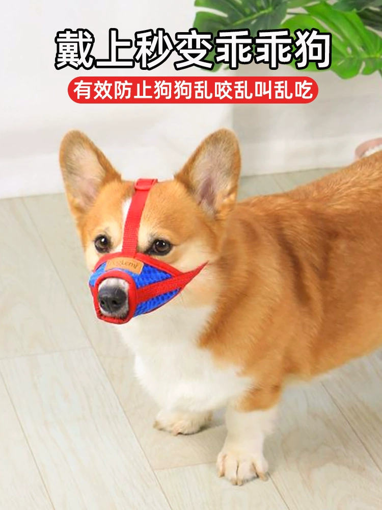 Покрытие рта собаки