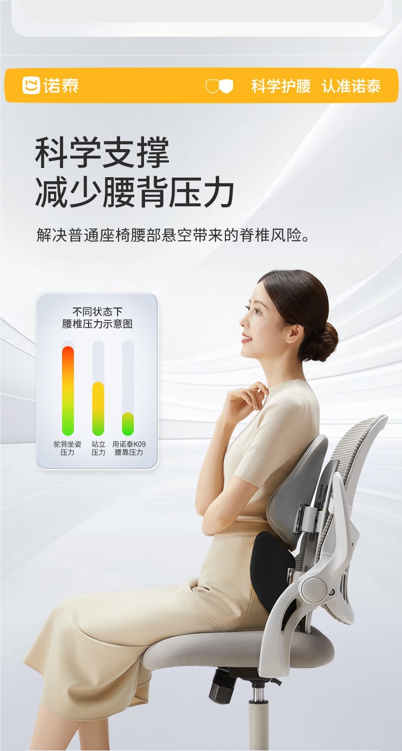 Nuo Tai Lumbar Support Cushion, Ergonomic Seat for Long Sitting, Office Chair, Car Lumbar Support, Gift