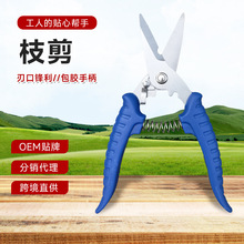 늹�����늾����FƤ���๦�܄��������ۼ��XƤ������֦늾�����