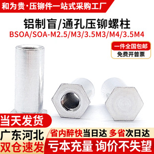 �X��ä�׉��T����ͨ��������ĸ���T��BSOA/SOA-M3/3.5M3/M4/3.5M4