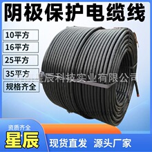 �~о��|YJV22-0.6/1KV-1&times;10mm2/ꎱ�������|���� ����ꖘO����