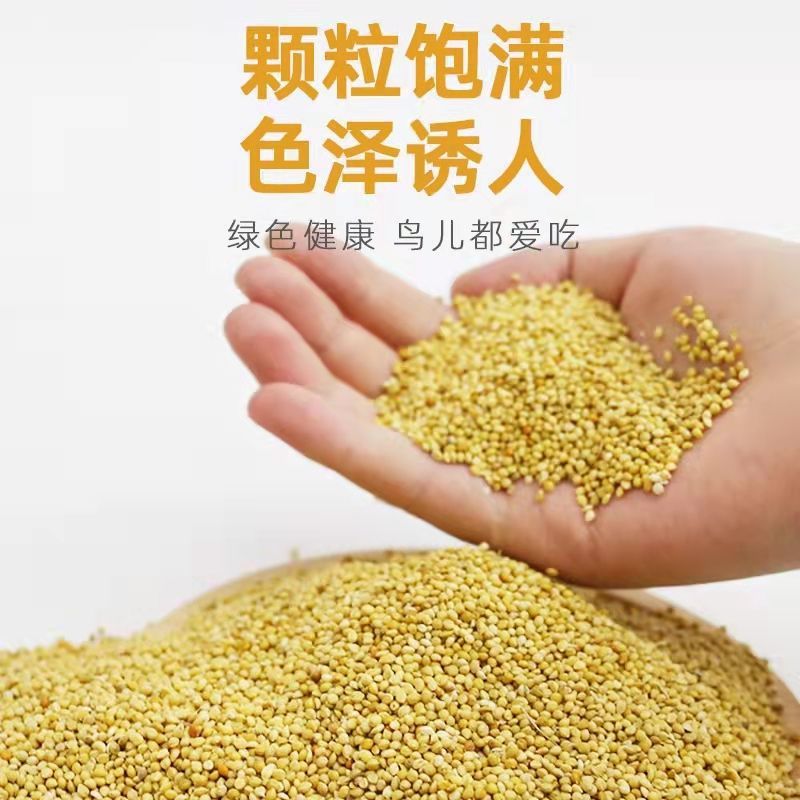 8c0f2168-b3ce-4262-a6a0-059fc356612d.jpe