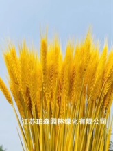 �S������ɻ����������b͏d��ɫС���廨ƿ���滨�[���_�I����