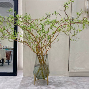 花友中梦龙柳鲜切枝客厅水培绿植物花卉室内盆栽干支雪柳 龙柳鲜-阿里巴巴