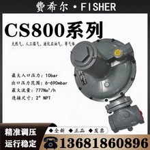 ����fisher�Mϣ��CS800IN CS800�е͉��{����ȼ����Ȼ��p���y