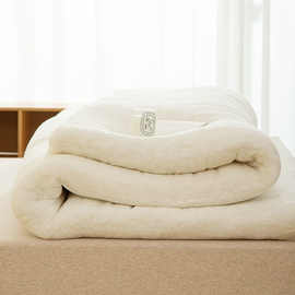新疆棉花被子学生宿舍纯棉胎加厚冬被芯春秋被棉絮床垫被褥子