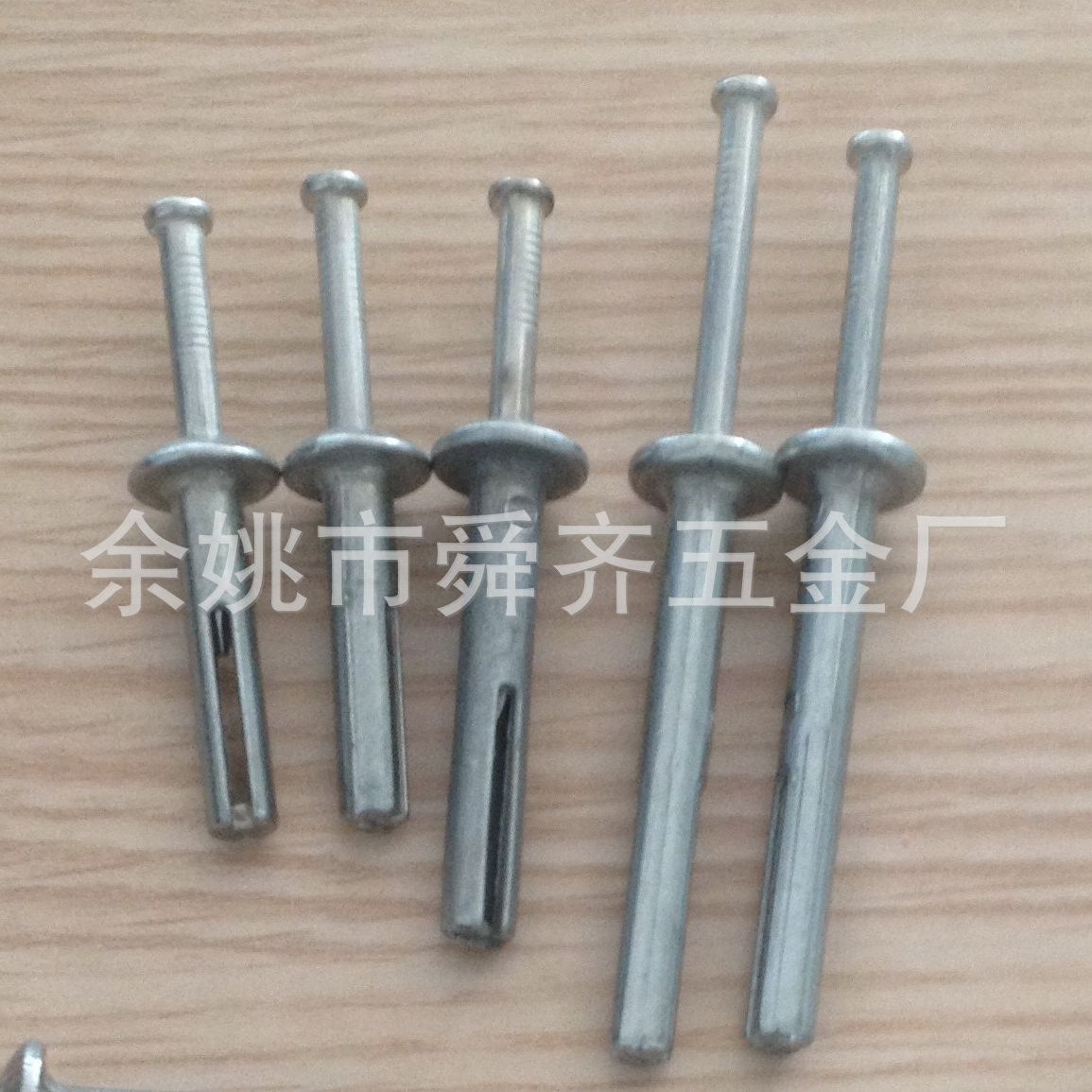 供应锌合金打入式壁虎 锤击壁虎 打入式膨胀等紧固件产品