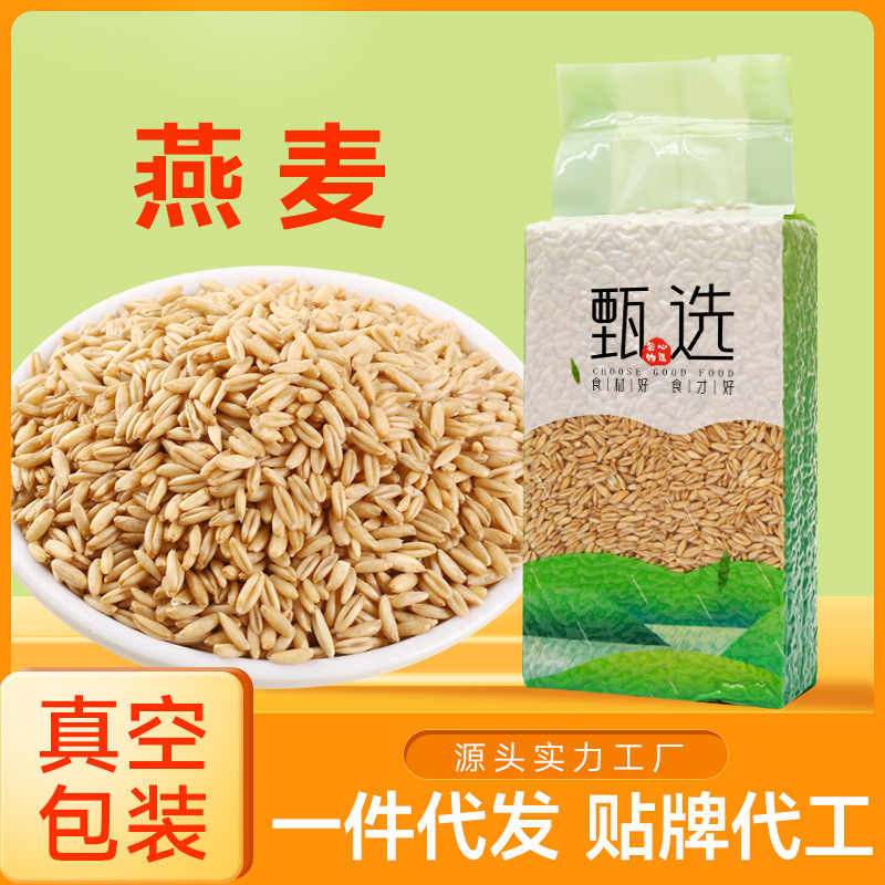 SHANMANTIAN oat groats 500g vacuum packaging new grain millets whole grains manufacturer wholesale oat groats