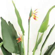 ֧BQm Ƶꙻ[Ҿӻƿ廨bGֲ