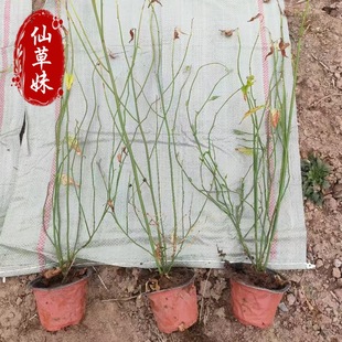 �����ذ���Ļ����G����������Թ������С��������l�N��Rȫ