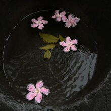 032301 ��Ů�ճ����e�ٴ�ƴɫ������ĥ���m��������\��Ь��Ь