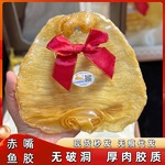 本港赤嘴胶黑鳘胶北海胶干货滋补品礼盒装节日春节送长辈伴手礼