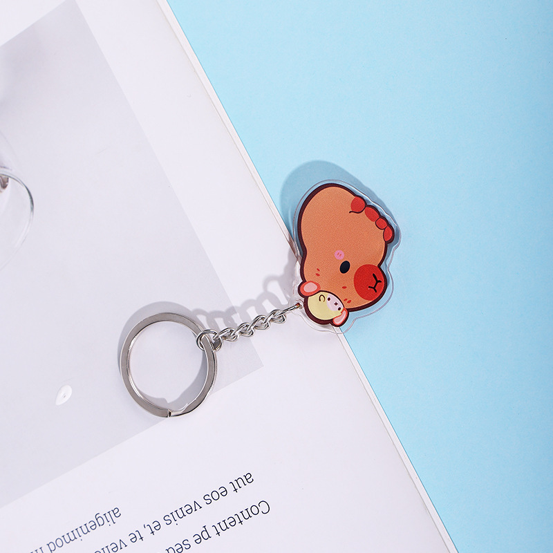 風のかわいい小さい個性のつり札のDIYかばんのペンダントinsはアクリルの漫画のアクセサリの両面のキーホルダーを飾ります。|undefined