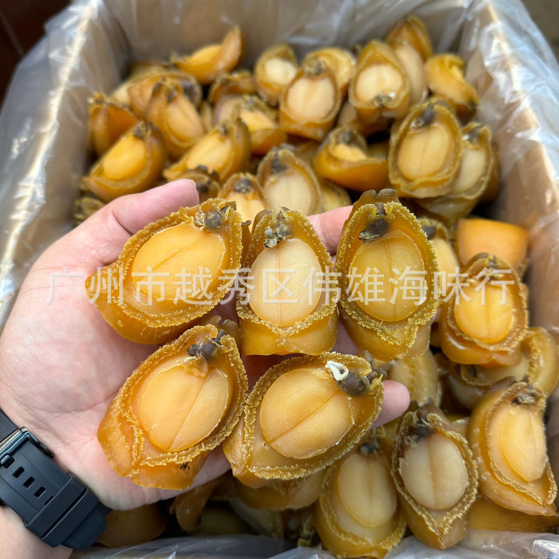 产地货源大连鲍鱼干A货大连吉品鲍鱼淡干小鲍鱼黄金鲍 厂家直销