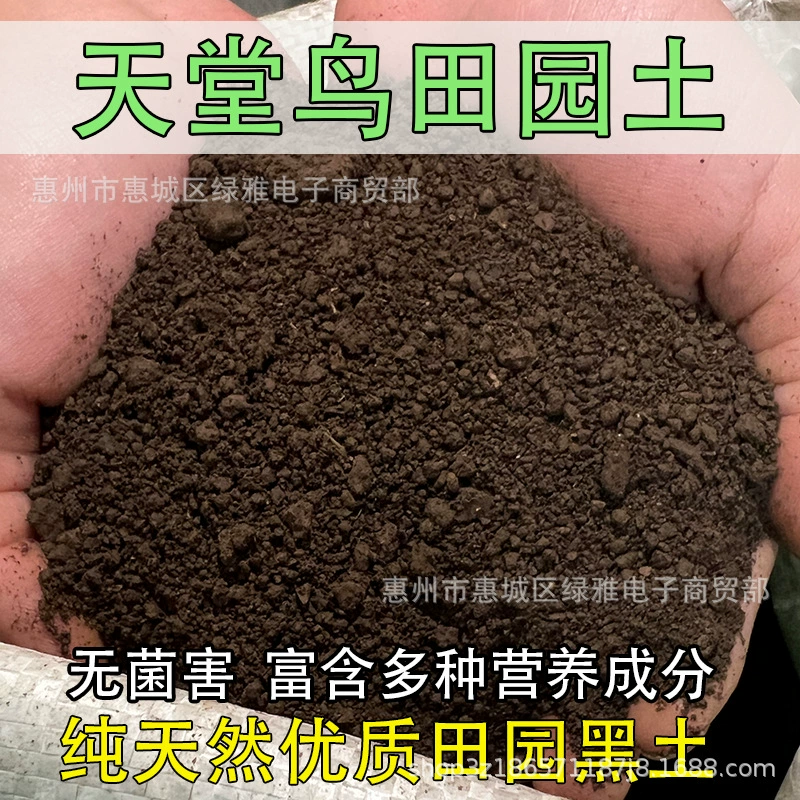 Райская птица посадка почвы, цветочная грязь, специальная почва, питательная почва, сельская почва, чернозёмная почва, выращивание цветов, универсальная органическая почва
