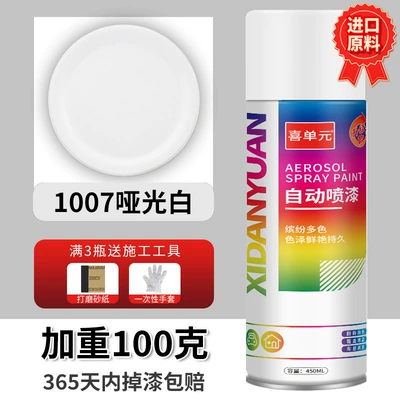 Avtomobil boya qələmləri – Galvanized Electroplated Silver Powder Paint - 045l-matte-white-high-quality-technology-upgraded-and-weighted-by-100-grams