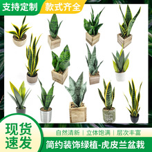 北欧仿生植物盆栽室内外客厅装饰摆件人造绿植金边假花仿真虎皮兰