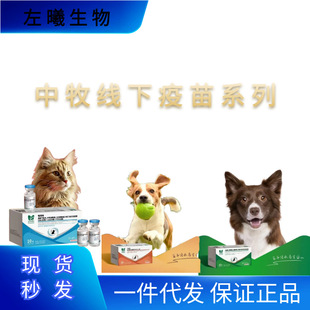 ����؈��Ȯ����Ȯ����