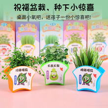 迷你儿童种植创意小盆栽盲盒学生植物幼儿园奖品小学生礼物励志盆