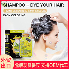 羳ֲȾlBubble dyeing  hair dye color shampoo