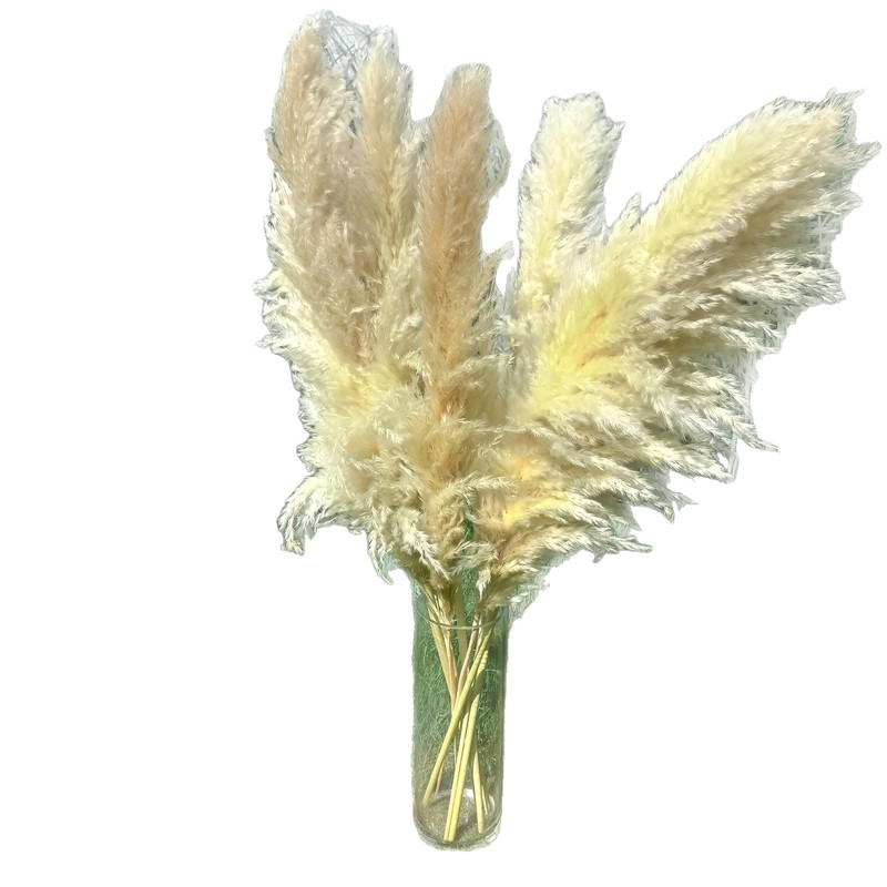 芦苇干花批发跨境大蒲苇花束北欧风婚礼装饰插花摆件源头工厂批发|undefined