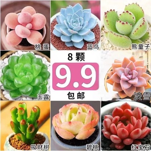 ����ֲ��Ⱥ���Gֲ���������҃��׻���B��ؔ�M���M���ҵ���¶�{�B