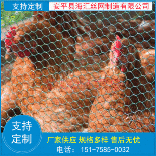 �Q�����ͻ�c�F�z�W��F�W��ˇ��\�u�\�W���е�픿��������F�z�W