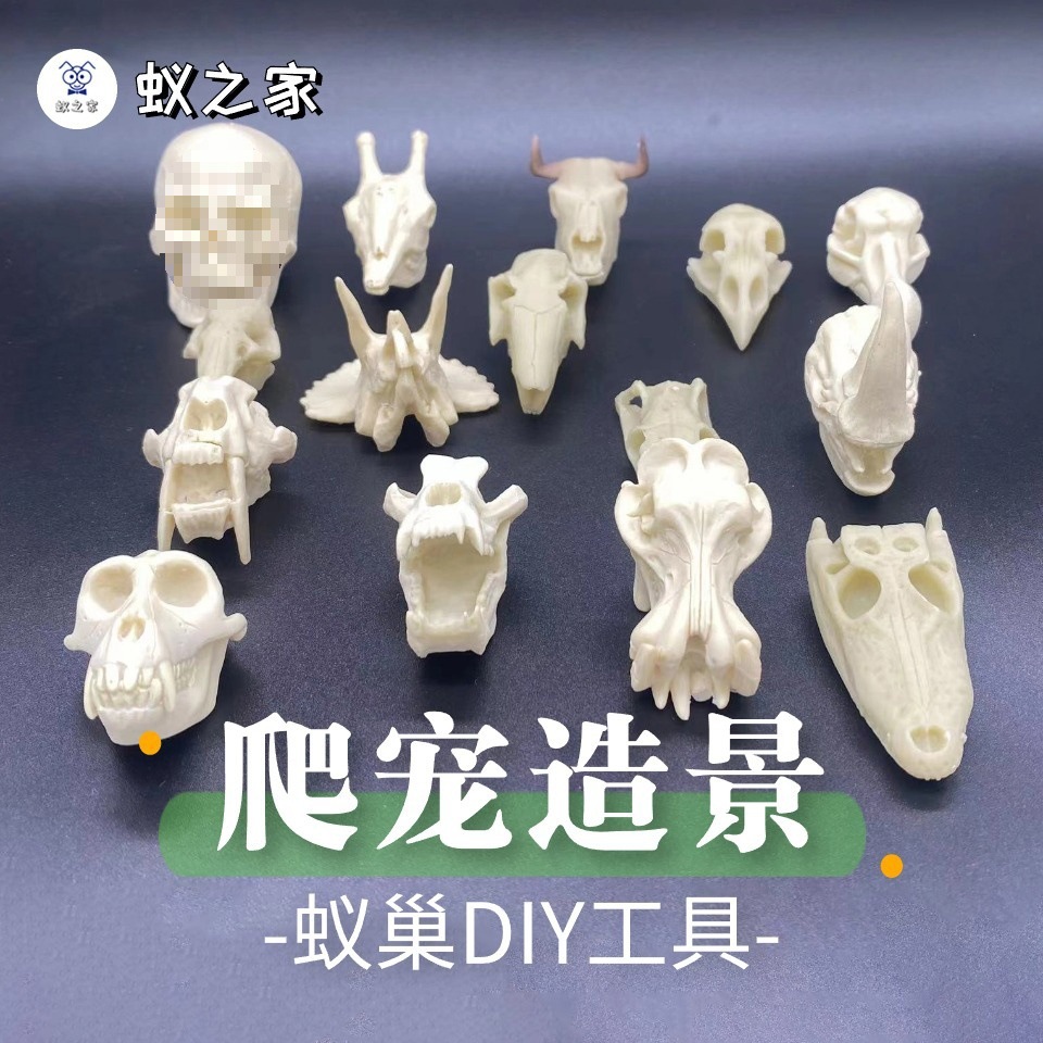 爬宠造景骷髅头动物骸骨沙漠头骨恐龙头骨异宠造景宠物蚂蚁造景