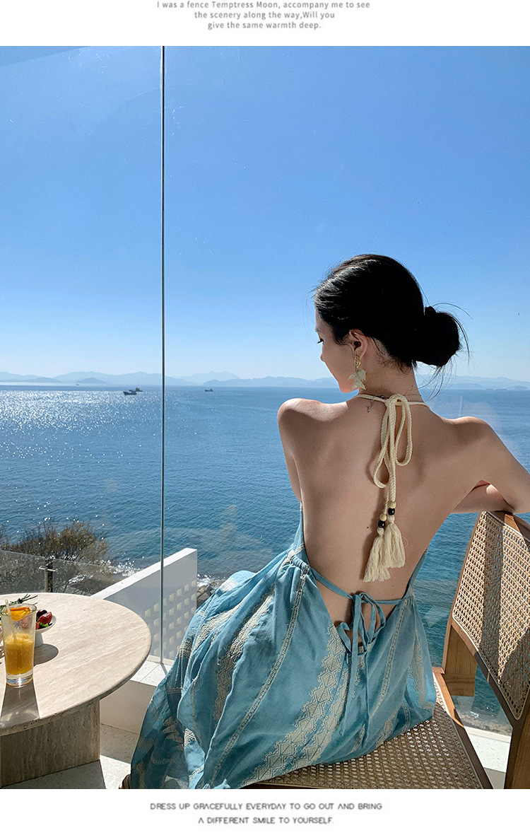 Light Blue Resort-style Backless Halter Neck Dress, Bohemian Heavy Embroidery Long Dress For Women_ecoleips.com