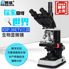 目镜、物镜;显微镜;光学机具