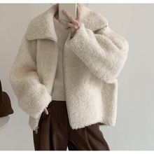 高级慵懒风韩版仿羊羔毛女宽松方领拉链皮毛一体冬季皮外套