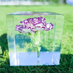 Resin epoxy crafts decoration natural real flower Carnation embedded specimen paper town decoration gift DIY