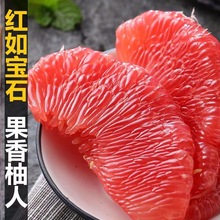 【熱銷】福建紅心蜜柚新鮮大果平和當季紅肉柚子孕婦水果現摘超甜
