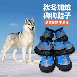 宠物鞋靴